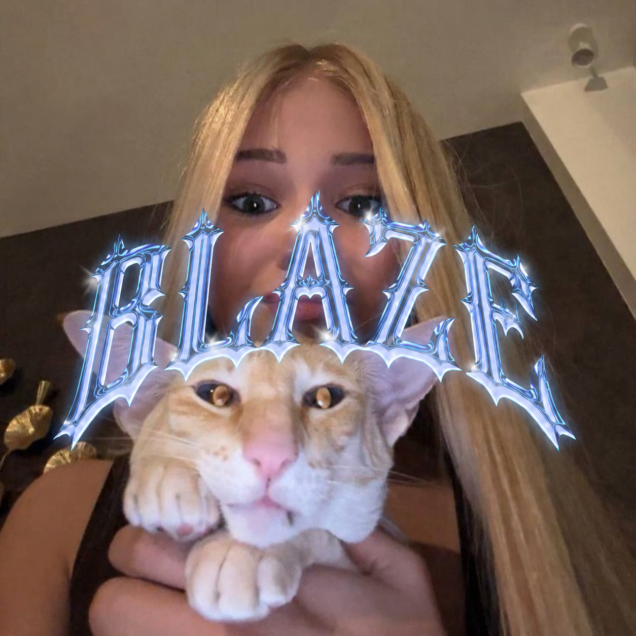 Blaze services